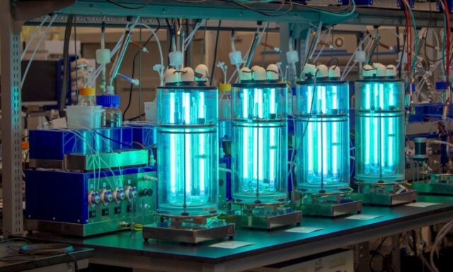 UV lights sterilize Biosphere's glass bioreactors.