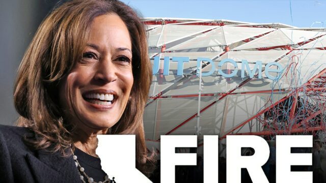 Kamala Harris und Doug Emhoff tauchen beim Fireaid Concert, Video auf

