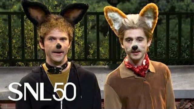 SNL: Was wäre, wenn Timothée Chalamet ein dummer Hund wäre, der menschliche Dinge tat?

