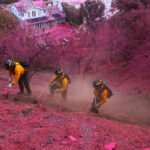 Was ist dieser rosa Pulverlack in Los Angeles?