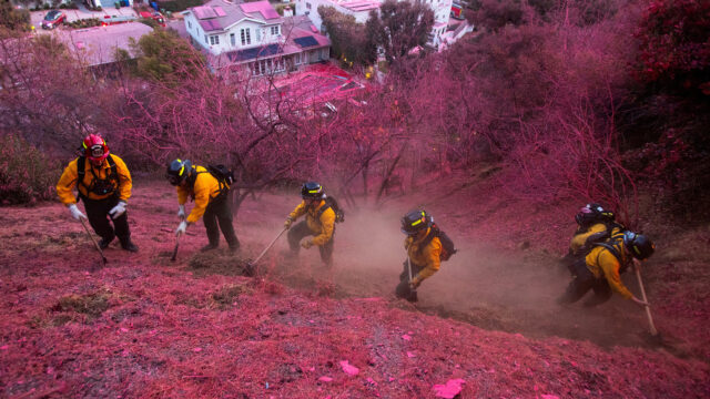 Was ist dieser rosa Pulverlack in Los Angeles?

