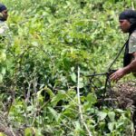 this photo taken on may 9 2018 shows indian military personnel patrolling in the saranda forest area in operations against maoist rebels in the west singhbhum district of india s eastern jharkhand state photo afp