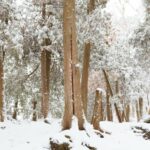 Möchten Sie ein Rezept für den Zugang zur Natur in Kanada erhalten? Sehen Sie, wie es funktioniert