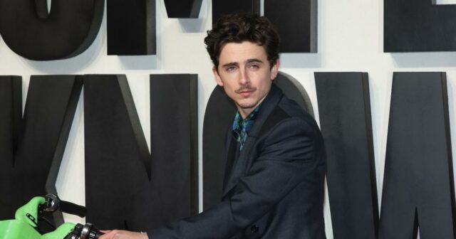 Timothée Chalamet wurde mit einer Geldstrafe von 79 US-Dollar belegt, nachdem er mit dem Rad zur Londoner Premiere gefahren war

