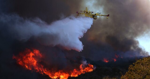 Kolumne: Für Angelenos, die unter Feuermüdigkeit leiden, sind Wassertropfenvideos eine süße Rache

