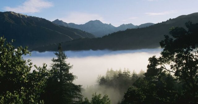 Aussage: Was ich in der Einsamkeit und Stille auf den Klippen von Big Sur finde

