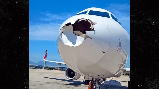 Das Flugzeug macht eine Notlandung, nachdem die Nase von Vogel in Brasilien eingeschlagen hat

