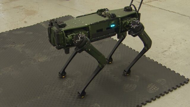 Robo-Dog kann als bester Freund der Branchen programmiert werden

