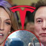 Sheryl Crow wird ihre Tesla über Elon Mosch