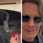 Rick Springfield spricht in den letzten Flugstörungen, sagt nur, ich muss damit rollen