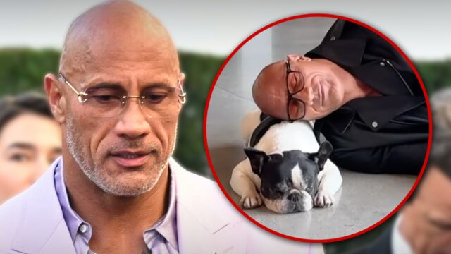 Dwayne 'The Rock' Johnsons französischer Bulldog -Hobbs stirbt

