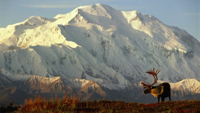 "Es geht um Kontrolle": Warum Trump in Denali in Mount McKinley umbenannt hat

