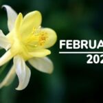 12. Februar 2025 besondere Tage: Welcher Tag ist heute? Kennen Sie Feiertage, Festivals, Veranstaltungen, Geburtstage, Geburts- und Todesjubiläen, die auf das heutige Kalenderdatum fallen