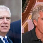 Die mutmaßlichen E -Mails von Prinz Andrew an Jeffrey Epstein: "Wir werden mehr spielen"