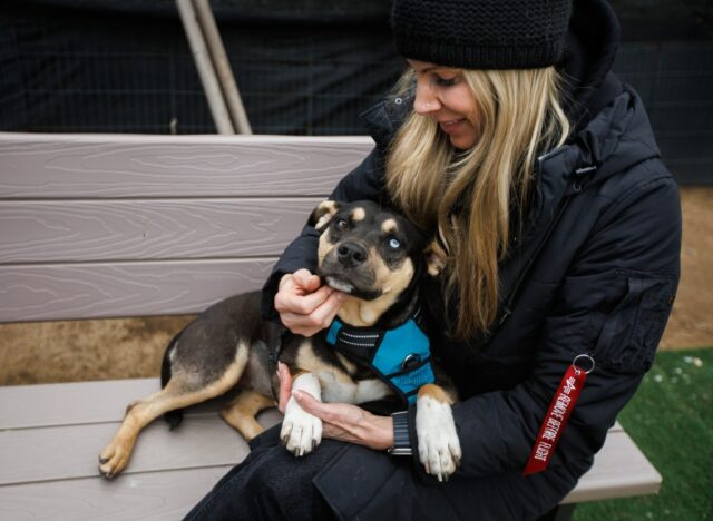 LA -Brände: Haustiere, die aus Tierheimen zur Adoption in Bay Area vertrieben wurden

