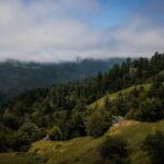 24 Millionen US-Dollar Landvertrag schafft 7 Meilen lange Korridor geschützter Redwood-Wälder zum Ozean