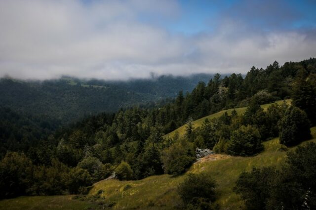 24 Millionen US-Dollar Landvertrag schafft 7 Meilen lange Korridor geschützter Redwood-Wälder zum Ozean

