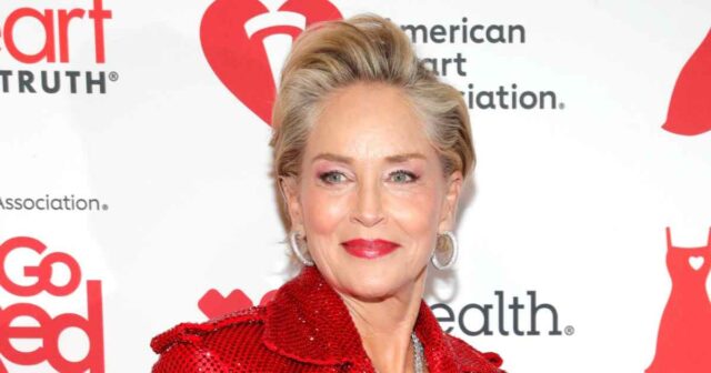 Sharon Stone fühlt sich "besonders gut", nachdem er die königliche Linie entdeckt hat

