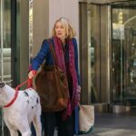 Der Trailer für "The Friend" sieht Naomi Watts und Bill Murray um ein großes Problem der Größe einer Düne