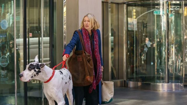 Der Trailer für "The Friend" sieht Naomi Watts und Bill Murray um ein großes Problem der Größe einer Düne

