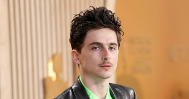 Timothee Chalamet fliegt Solo bei den SAG Awards, bringt GF Kylie Jenner nicht mit

