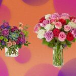 Ace Valentinstag mit einem Rabatt von 15% auf Proflowers