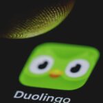 Duolingo tötet sein Eulen -Maskottchen -Duo