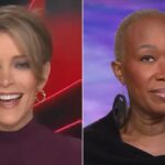 Megyn Kelly hat "absolut begeistert", dass "rassistische" Joy Reid bei MSNBC | ist Video