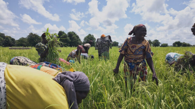 Offensive Land: Burkina Faso | Afrikas neue Richtungen

