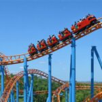 Is Now the Time to Ride the Upstart Rollercoaster?