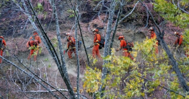 Brief an den Herausgeber: Mandeville Canyon fast verbrannt. Vielen Dank an diejenigen, die meine Nachbarschaft gerettet haben

