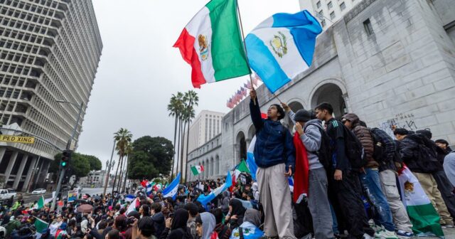 Brief an den Herausgeber: Welche Flagge sollte Demonstranten in Einwanderungsmengen winken? Leserdebatte

